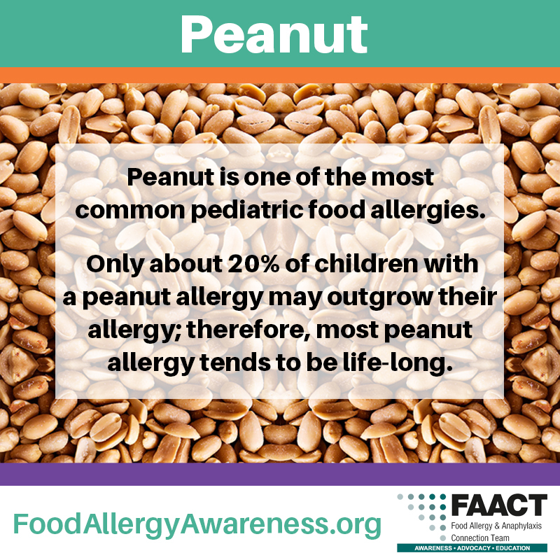 Peanut Allergy Facts